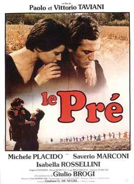 Il prato