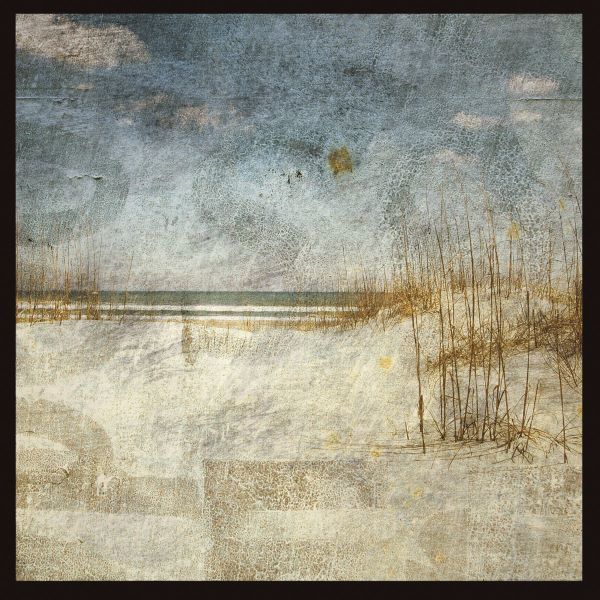Masonboro Island No. 8