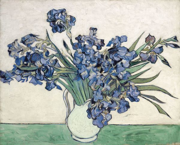 Irises