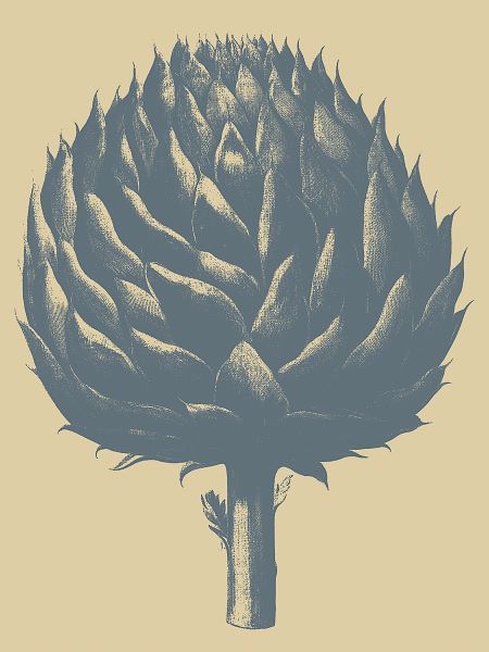 Artichoke 1