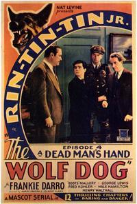 The Wolf Dog