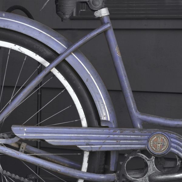 Schwinn 1