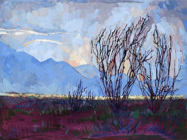 Ocotillo on Blue (center)