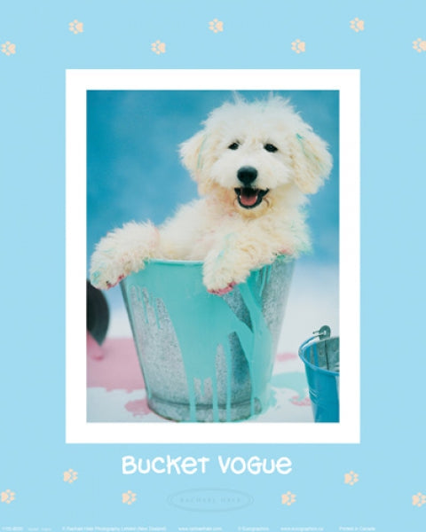 Bucket Vogue