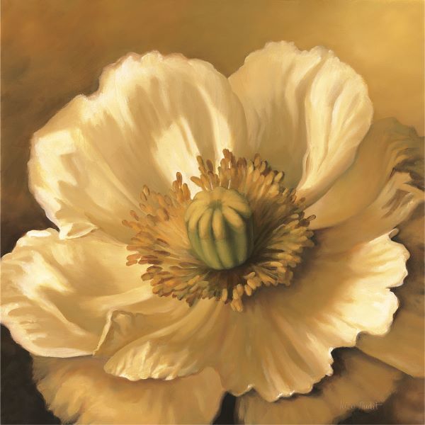 Poppy Portrait