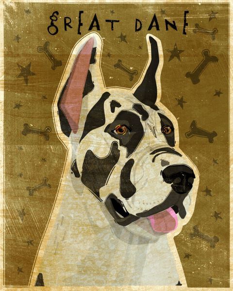 Great Dane (Harlequin)
