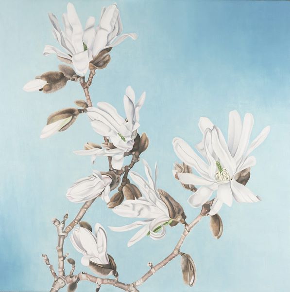 Magnolia
