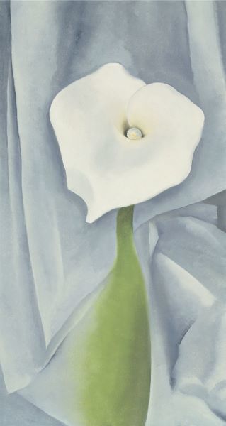 Calla Lily on Grey, 1928