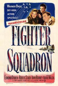 Fighter Squadron