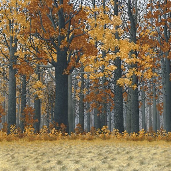 Autumn Wood