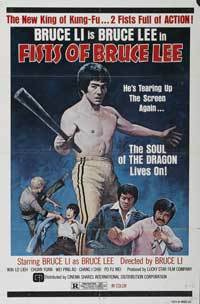 Fists of Bruce Lee