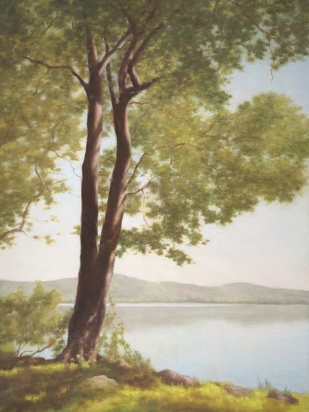 Sunlit Trees I