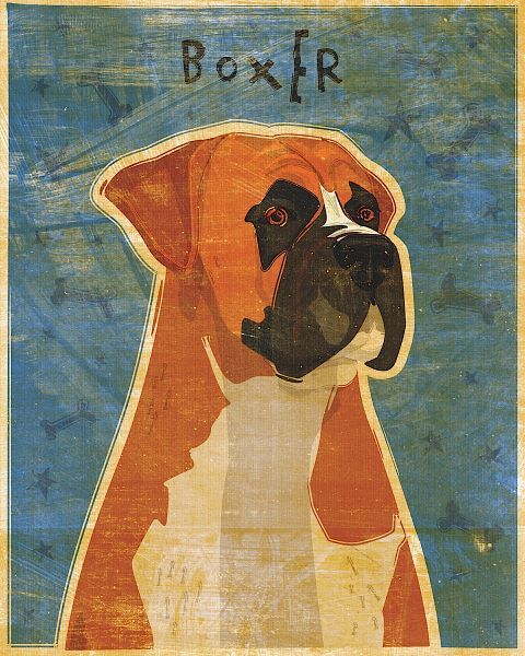 Boxer