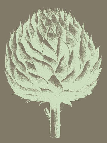 Artichoke 12