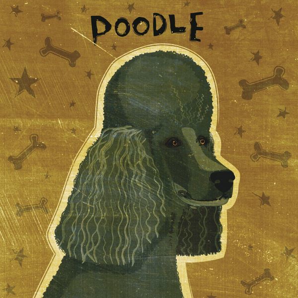 Poodle (black) (square)