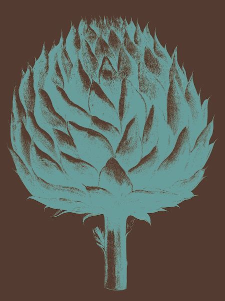 Artichoke 6