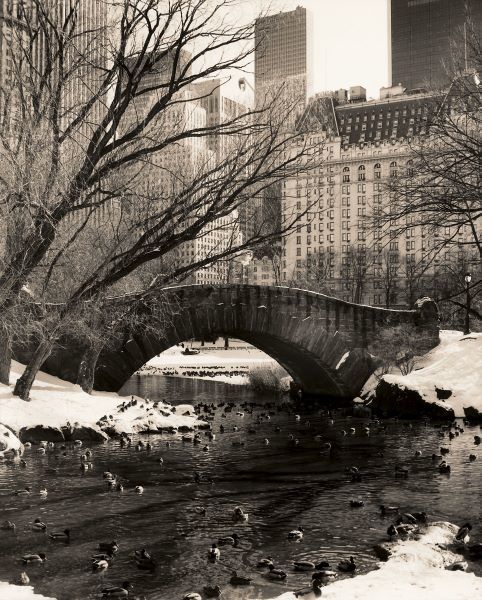 Central Park Bridges 4