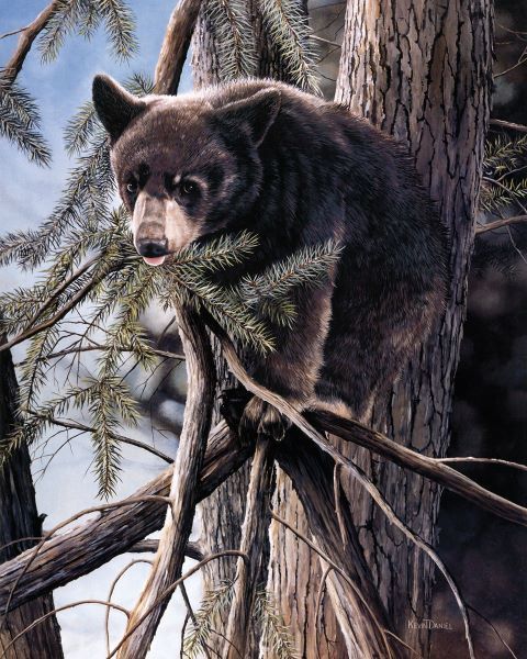 Out on a Limb