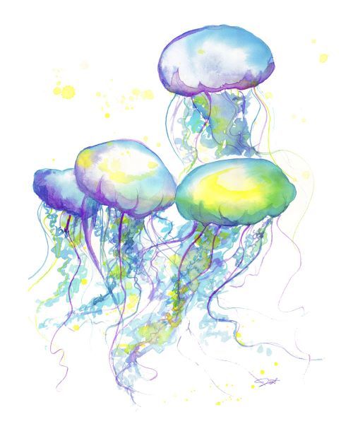 Herd of Jelly