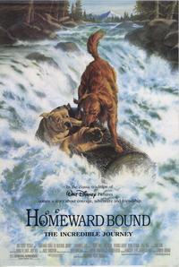 Homeward Bound: The Incredible Journey