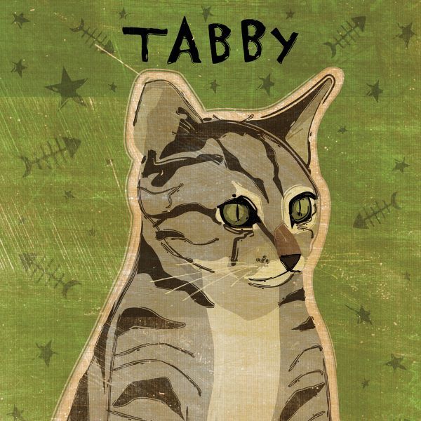 Tabby (grey) (square)