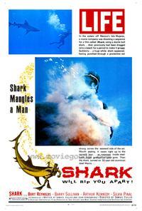 Shark!