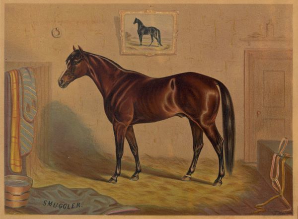 America's Renowned Stallions, c. 1876 III
