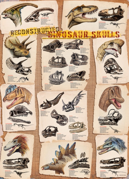 Dinosaur Skulls Reconstructed