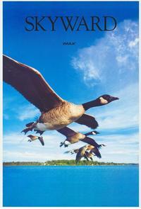 Skyward (IMAX)
