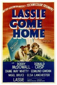 Lassie, Come Home