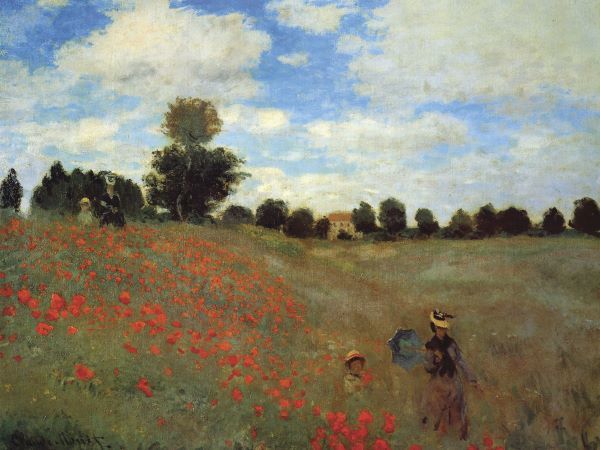 Wild Poppies
