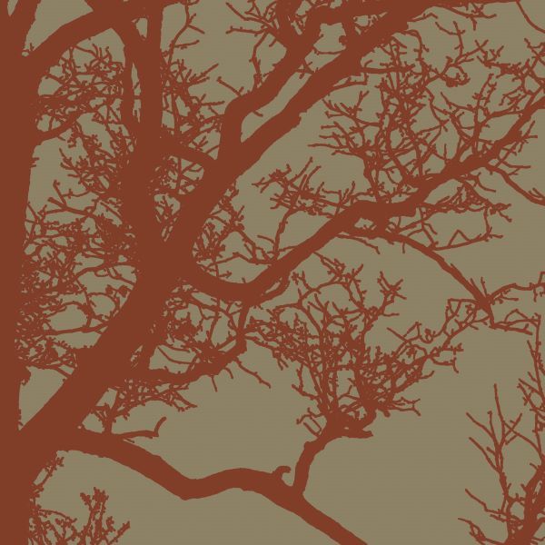Cinnamon Tree IV