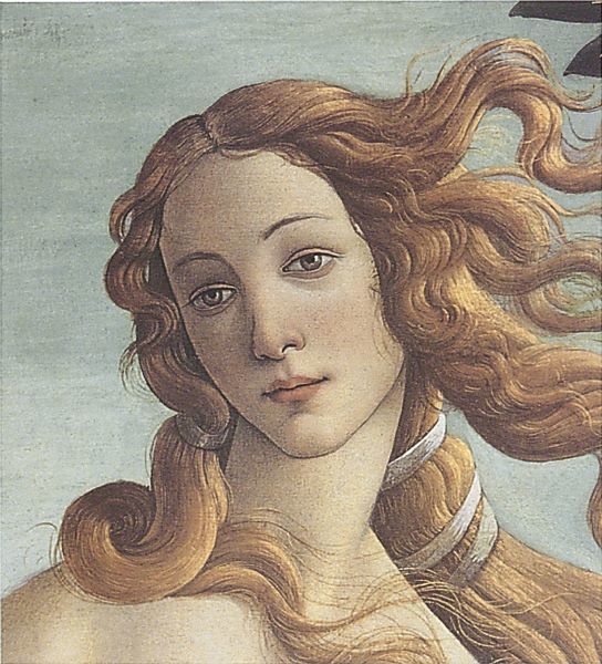 The Birth of Venus (detail)