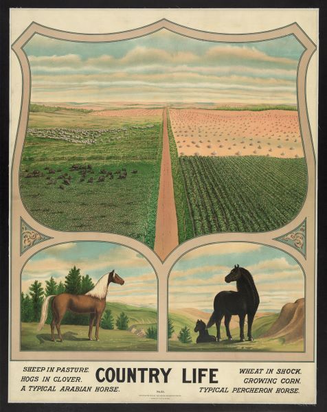 Country Life, c. 1904