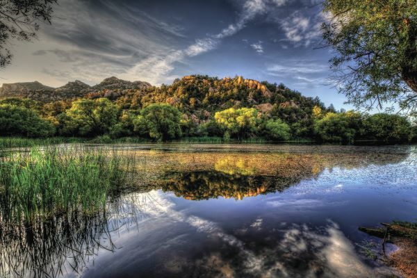 Basin Reflect