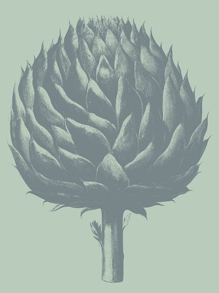 Artichoke 8