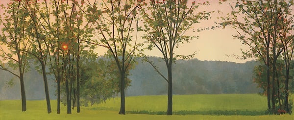 Hazy, Woodstock