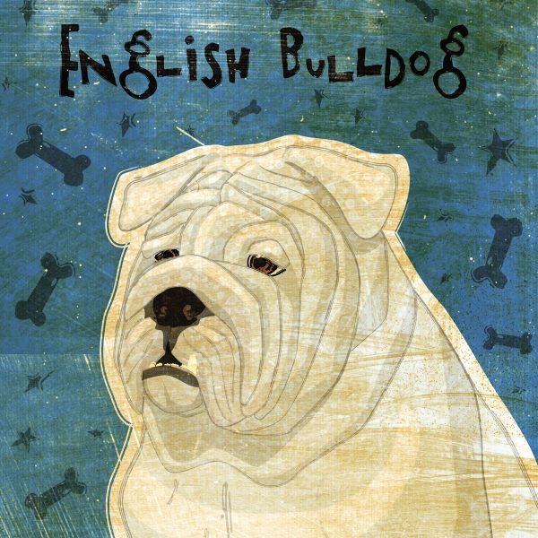 English Bulldog (square)