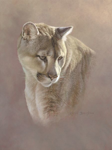 Watchful Eyes