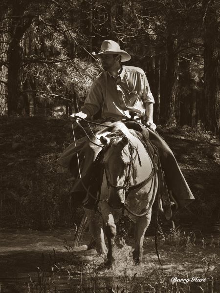 Riding for the Brand