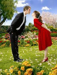 Pushing Daisies (TV)