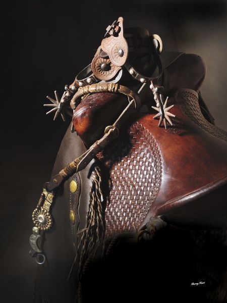 Bits, Bridles and Spurs