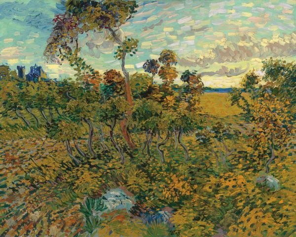 Sunset at Montmajour, 1888