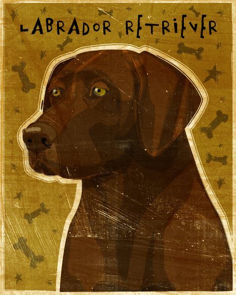 Chocolate Lab (NEW)