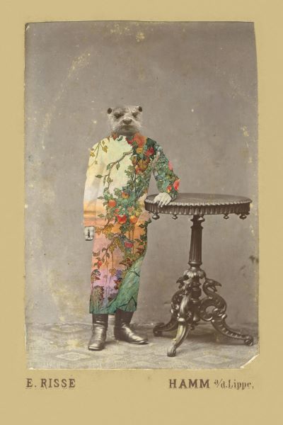 Titouan