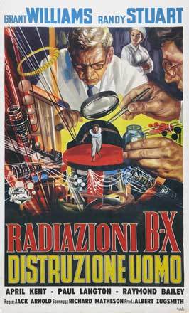 The Incredible Shrinking Man