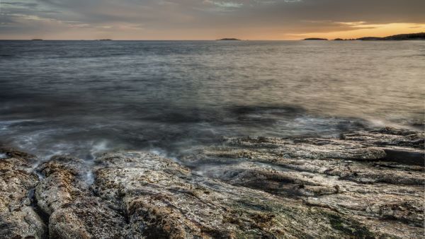 The Beloved Coast