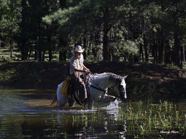 The Lost Cowboy (color)