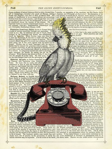 Cocatoo on Telephone