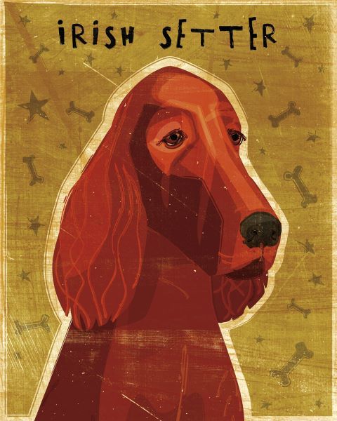 Irish Setter
